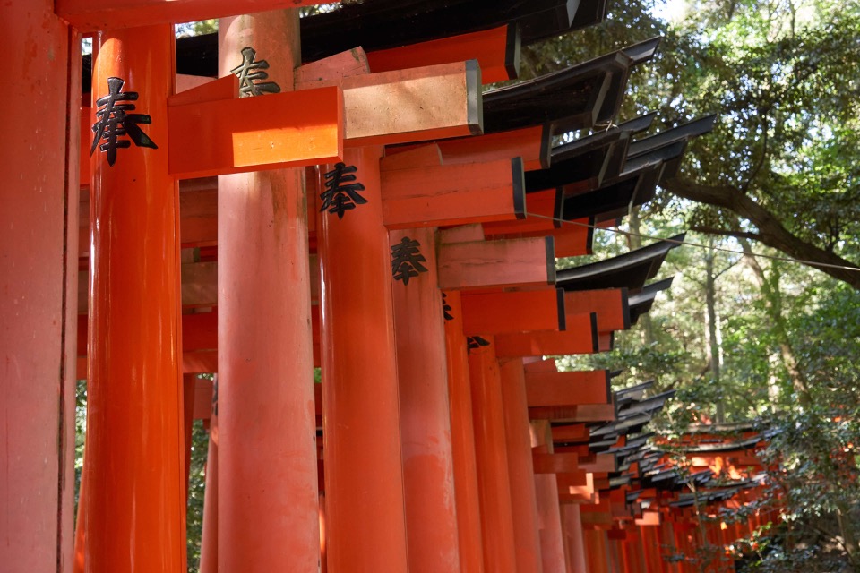 Fushimi Inari Taisha